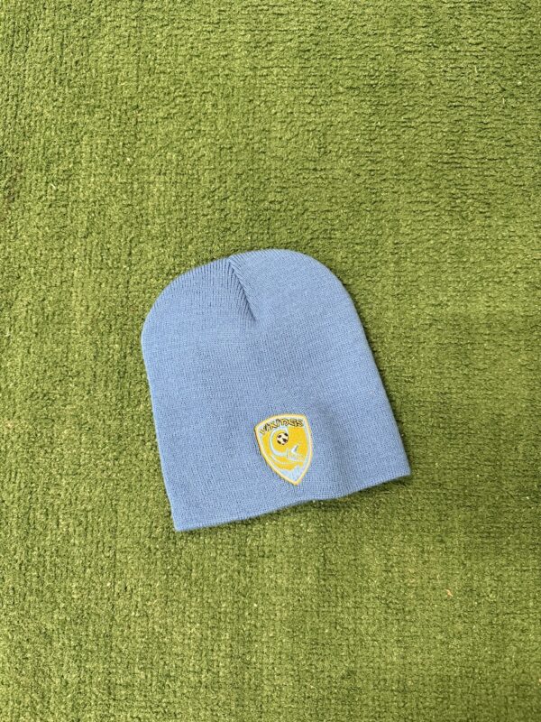 2025 Beanie